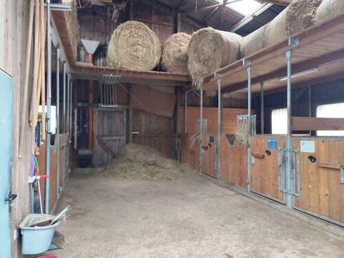 Innenansicht Stallung - 