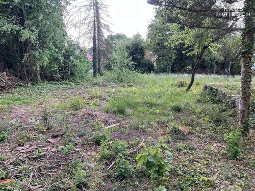 Grundstück - Einfamilienhaus zum Kaufen in Neunkirchen am Sand