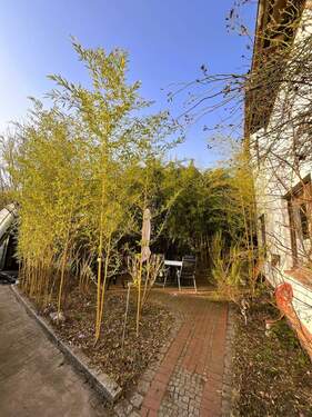 Bambus - Freisitz - Kopie.jpg - 6 Zimmer Einfamilienhaus in Hamburg