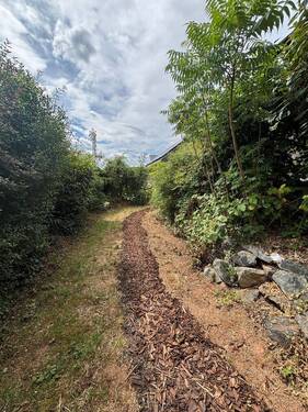 Garten Südseite - 