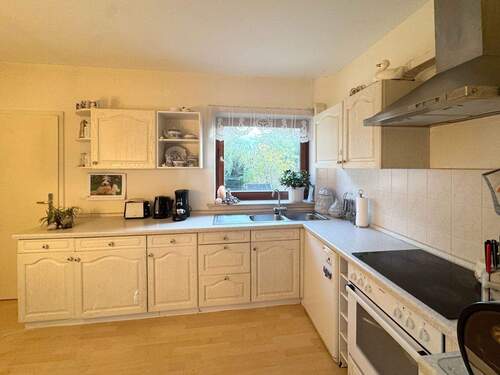 Helle zeitlose Kühe - 