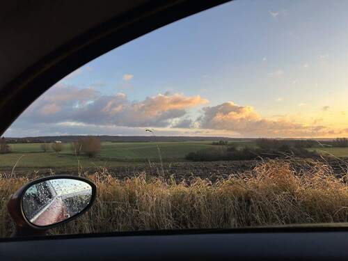 Auf dem Weg nach Hause - 