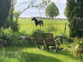 ...unsere Nachbarn...-)) - 