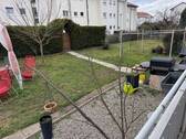 IMG_8039.JPG - 