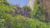 Blick aus dem Garten - 