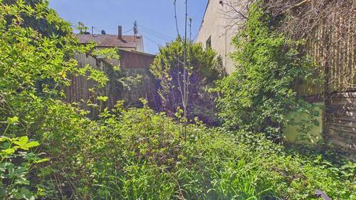 Blick aus dem Garten - 