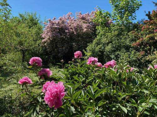 Garten - 