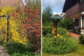 Garten - 