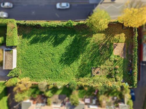 Alexander Immobilien - 