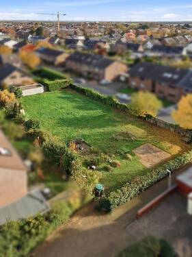 Alexander Immobilien - 