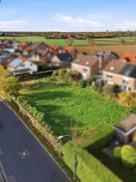 Alexander Immobilien - 