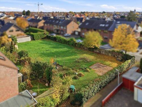 Alexander Immobilien - 