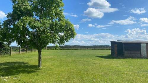 Garten - 