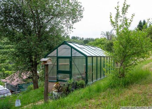 Gewächshaus - 
