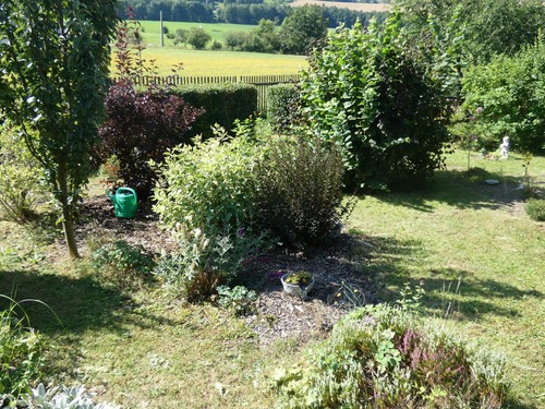 Garten - Mehrfamilienhaus, Wohnhaus mit 45,00 m&sup2; in Schleiz zum Kaufen