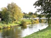 Fluss-Aue der Zwickauer Mulde - 