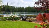 Schwanenteich Zwickau - 
