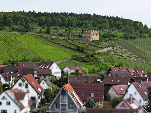 Nahe der Weinberge - 