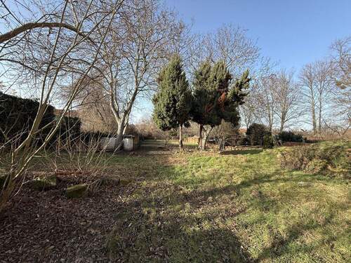 Grundstück - Grundstück in Halberstadt zum Kaufen