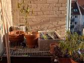 Balkon.jpg - 