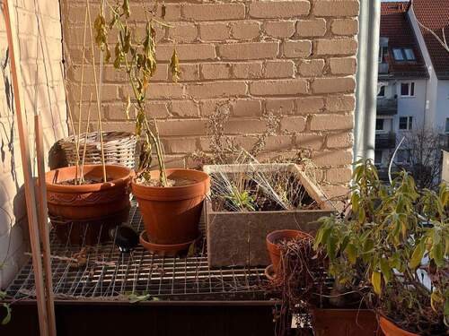 Balkon.jpg - 