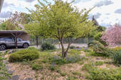 IMG_7520 - 