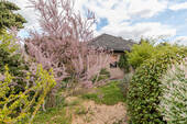 IMG_7530 - 
