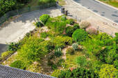 DJI-09 - 