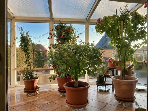 Wintergarten - Einfamilienhaus mit 132,00 m&sup2; in Südharz zum Kaufen