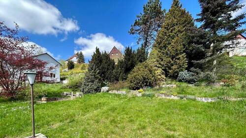 Blick von der Laube - 