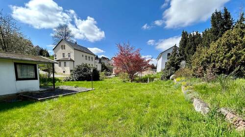 Seitlicher Blick - 