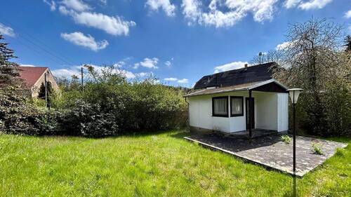 Laube - 