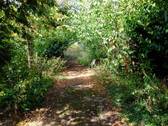Rennbahn - 