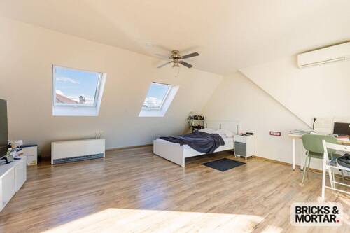 Zimmer DG - 