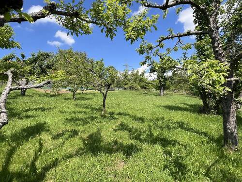 Natur Pur - Grundstück zum Kaufen in Esslingen am Neckar / Liebersbronn
