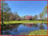 Teich - 