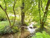 Bachlauf - 