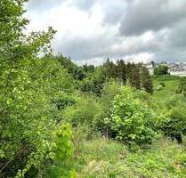 Tolles Grundstück ! - 29.000,00&nbsp;EUR Kaufpreis, ca.&nbsp; 0,00&nbsp;m&sup2; in Nordhalben (PLZ: 96365)