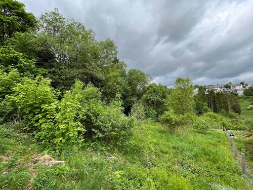 leichte Hanglage - Grundstück in Nordhalben zum Kaufen