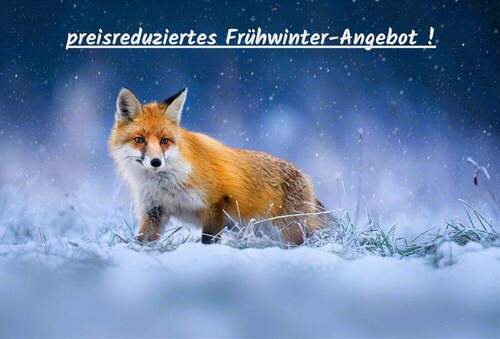 das schnapp ich mir ... - *** renovierungs-bedürftiges 2 bis 3-Familienhaus mit viel Wohnraum, Garage u. 2 Stellplätze ... ***