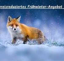 *** renovierungs-bedürftiges 2 bis 3-Familienhaus mit viel Wohnraum, Garage u. 2 Stellplätze ... *** - Mundelsheim