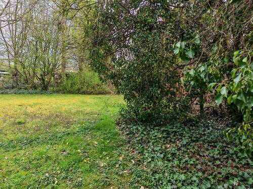 Grundstück (3) - Grundstück in Hamburg / Sasel