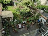 Blick in den Garten - 