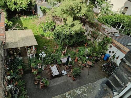 Blick in den Garten - 