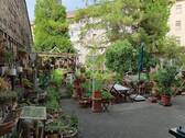 Garten 1 - 