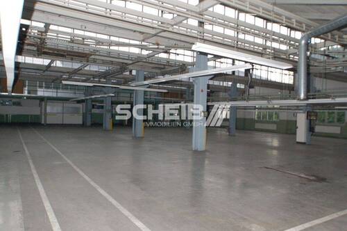 hell durch Oberlicht - 