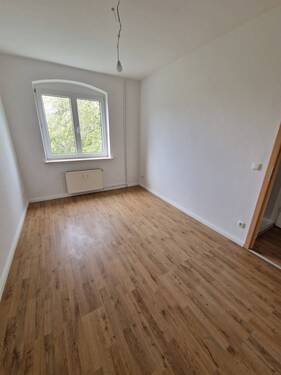 Zimmer3 - 