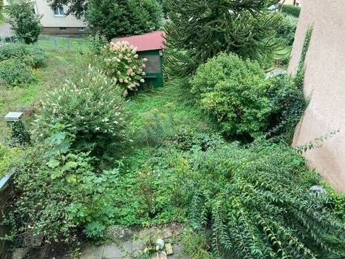 Blick in den Garten - 4 Zimmer Reihenmittelhaus in Lahr