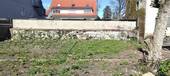 Gartenblick - 