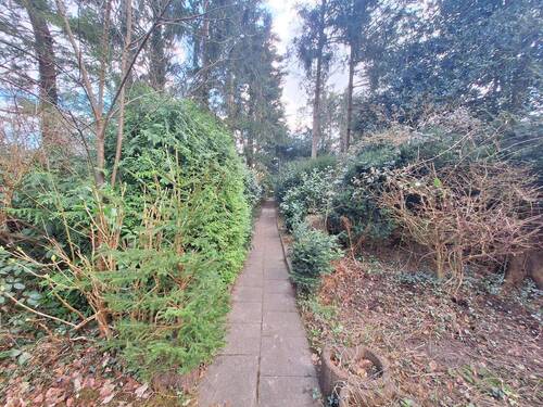 Außen Blick in Garten - 